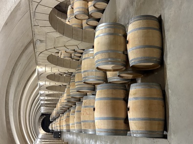 Sortie pédagogique des CAP Cuisine et HCR