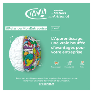 L'Apprentissage 