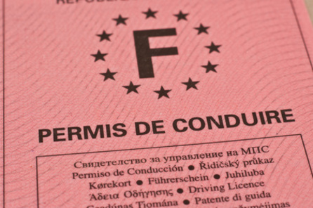 Permis de conduire 
