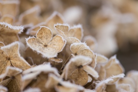 Travail dans le froid 