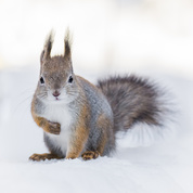 Travailler dans le froid 